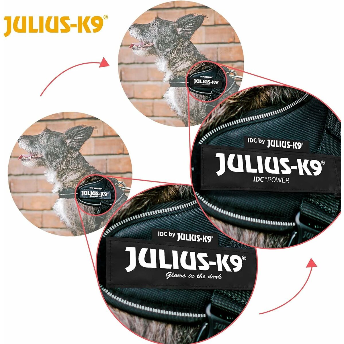 Harnais pour Chien Julius K9 IDC Noir S